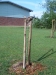 tdb07_6.jpg