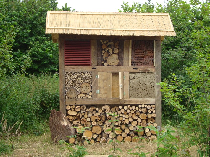 Insektenhotel 004 (800 x 600) Insektenhotel 004 (800 x 600)